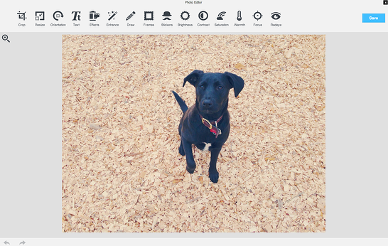 Harper_in_image_editor