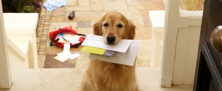 23 Better Alternatives to the Just Checking In Email