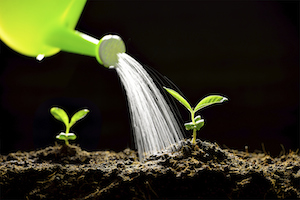 How to Expand Your Lead Nurturing Strategy Beyond Just Email [SlideShare]