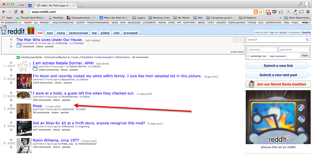 great-dane-reddit