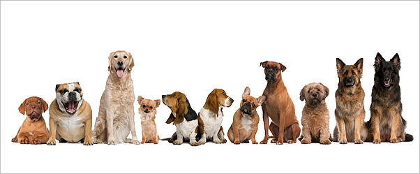 11 Underdog Brands That Differentiated Themselves From the Competition