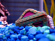 resurface blog content