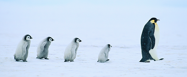 17 Inspirational Quotes on Leadership & Management From Daniel Pink