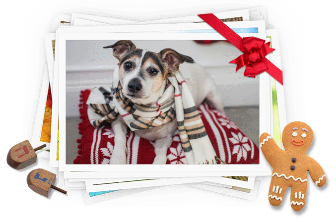 Free Holiday Stock Photos