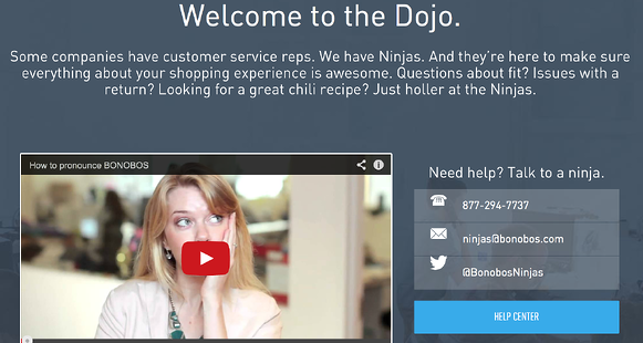 about us page contact info example