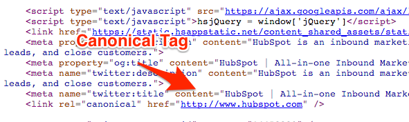 Canonical Tags setzen um Duplicate Content zu vermeiden