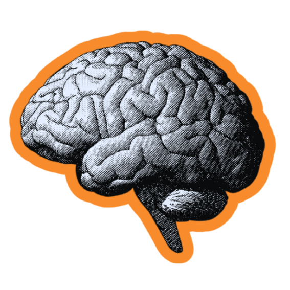 an outlined image of a human brain