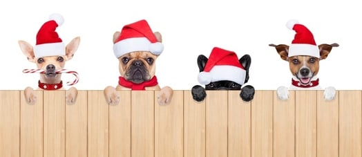 clientes leales campañas navideñas