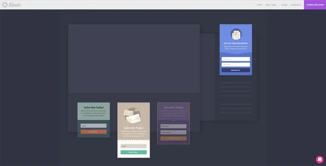Bloom Email Opt-in's dashboard