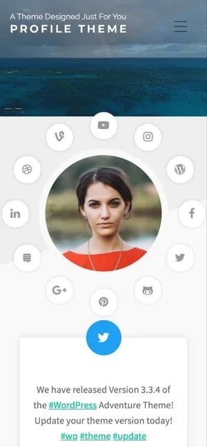 mobile preview of the mobile friendly wordpress theme Profile Theme