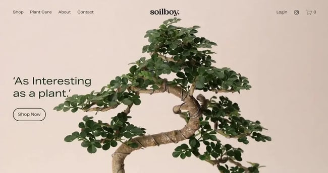 homepage for the monochromatic website soilboy