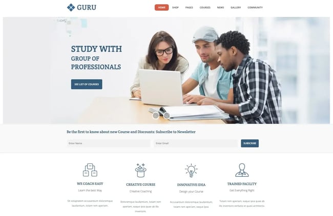 demo page for the wordpress online course themes 