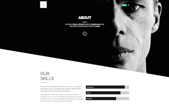 flamingo freelance WordPress theme