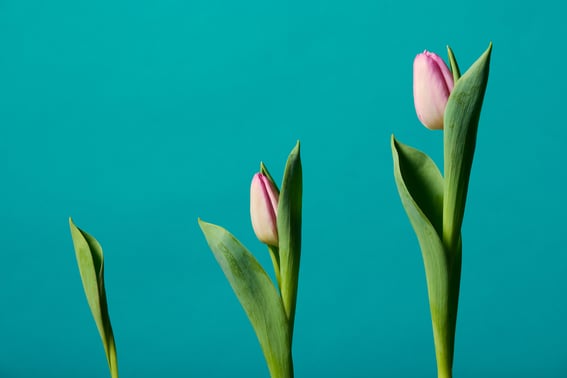 2022-1_blogteam_colorsweep491