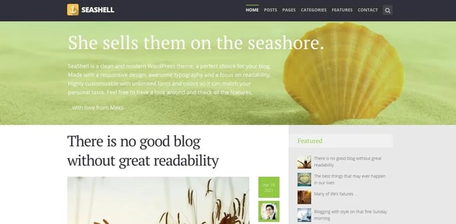 demo of the wordpress theme for adsense seashell