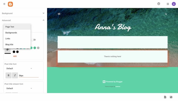 Bloggers customization options panel (1)