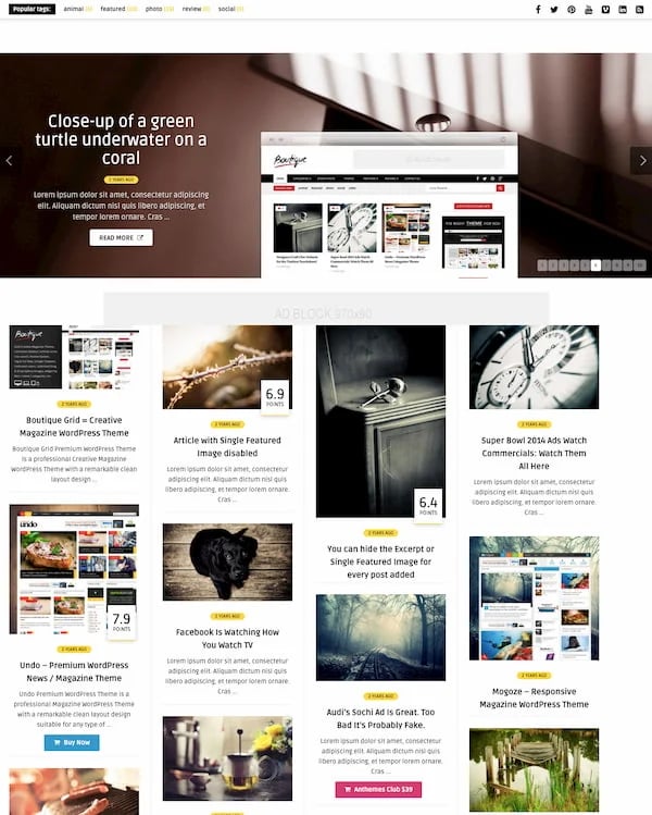 Bou theme demo features masonry grid of blog posts-1