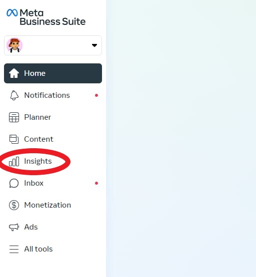 Facebook Insights: A Beginner's Guide [+ Step-by-Step Instructions]