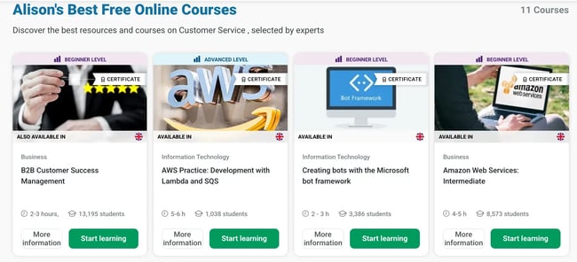 Alison customer service programs