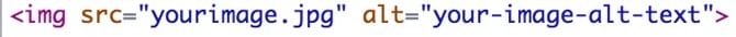 Alternative Text code