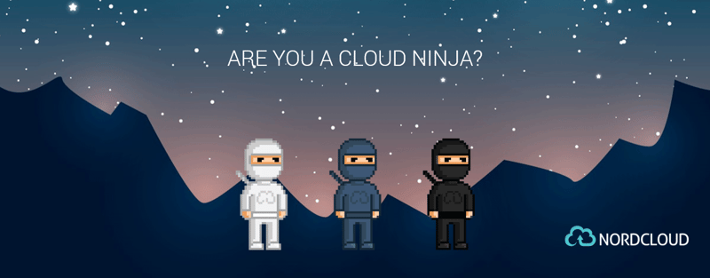 Nordcloudin interaktiivisen sisällön Cloud Ninja -kampanja kasvatti yrityksen liidivirtaa merkittävästi.
