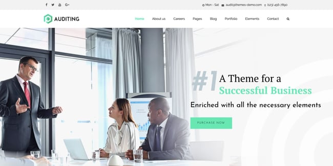 best accountant WordPress themes: Auditing demo