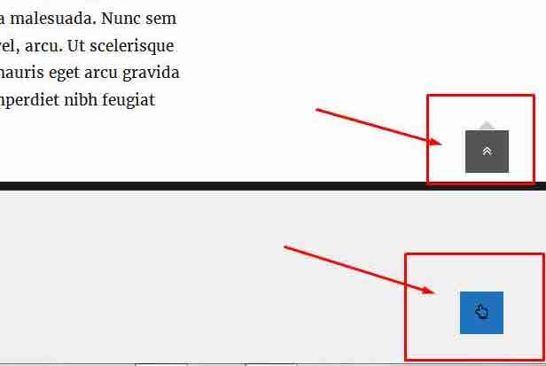 Back to top button styles for Click to top plugin for WordPress-1