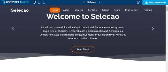 Bootstrap website templates, Selecao
