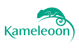 Kameleoon