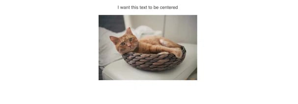 Centered text with image