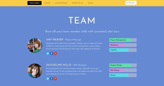 Colorful team section of Flat theme