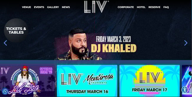 night club website design: Liv