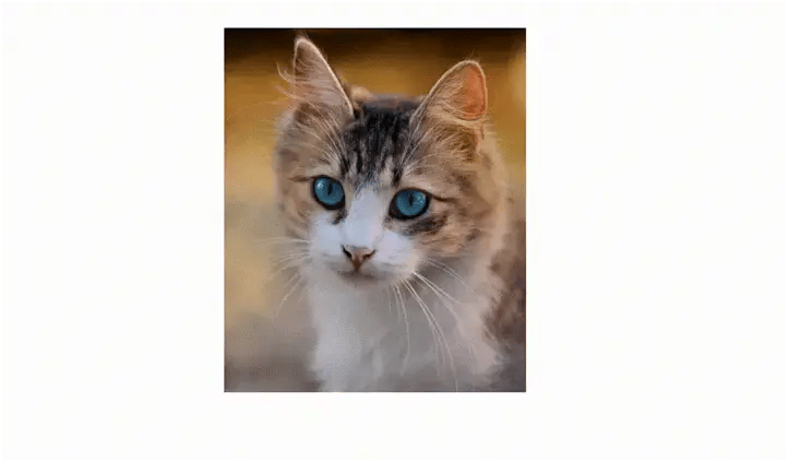 Curseur qui zoom sur limage au survol