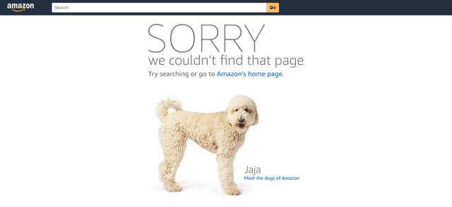 amazon404.png