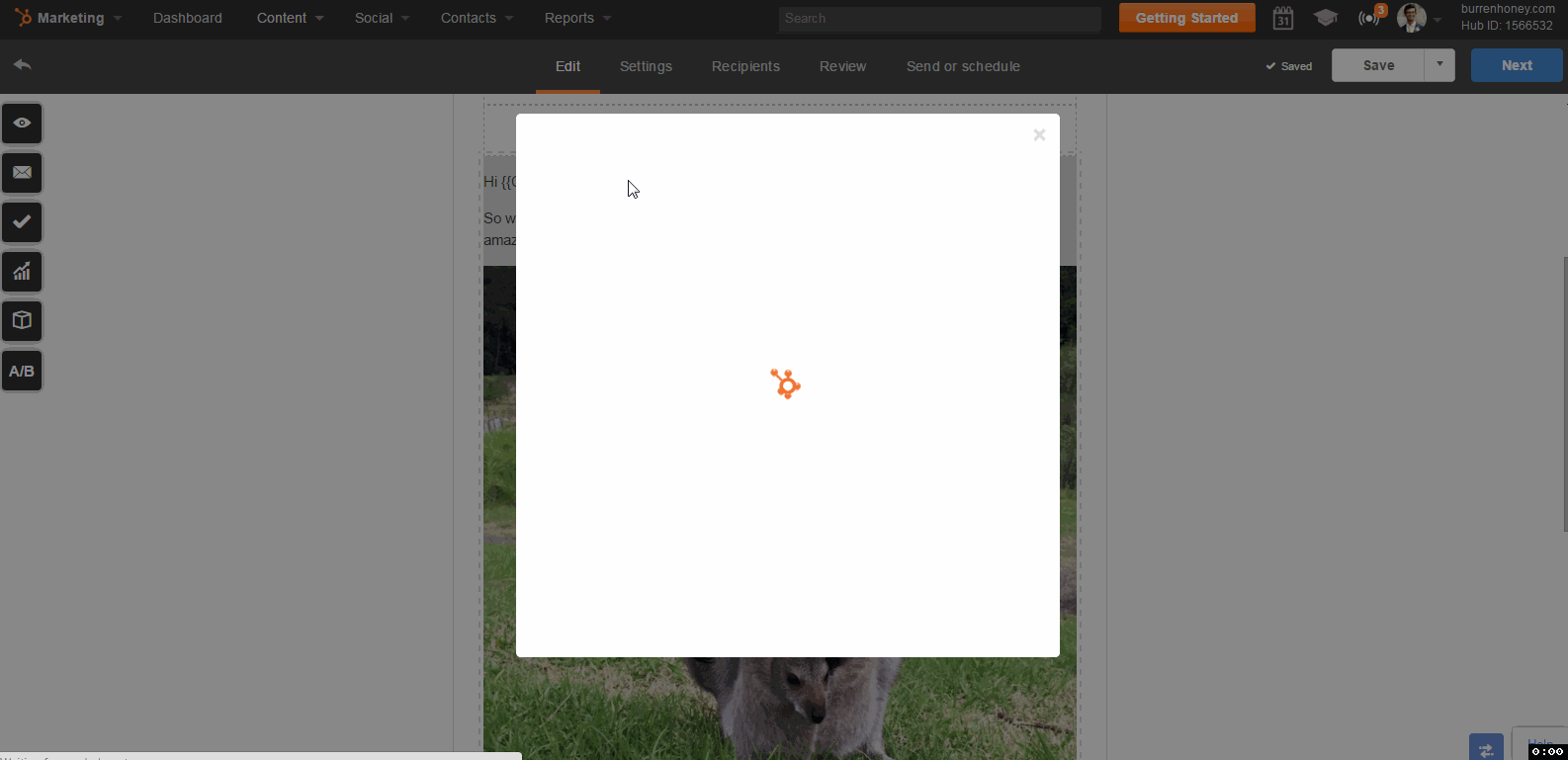 cat_smart.gif