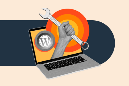 person limiting wordpress dashboard access for users