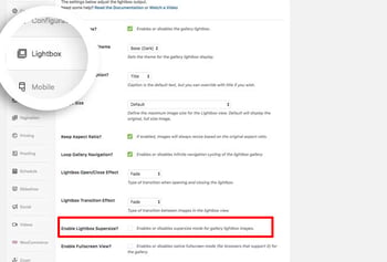 The Supersize Lightbox Image feature is highlighted in the Envira Gallery plugin settings page