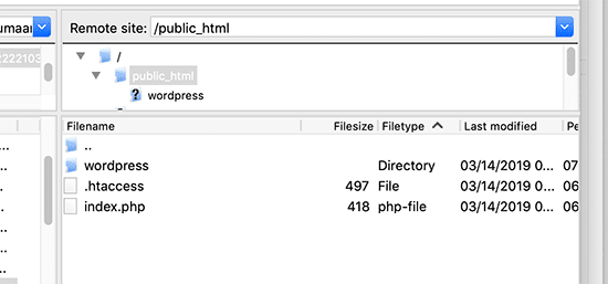 Root directory containing a wordpress installation and copies of the .htaccess and index.php files