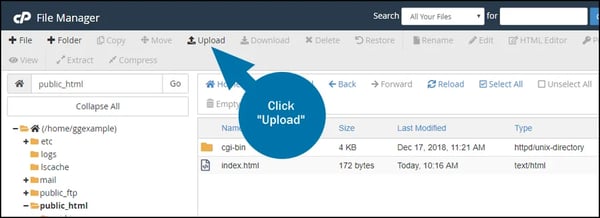 upload the robots.txt file back to your public_html folder in your hosting account's cPanel