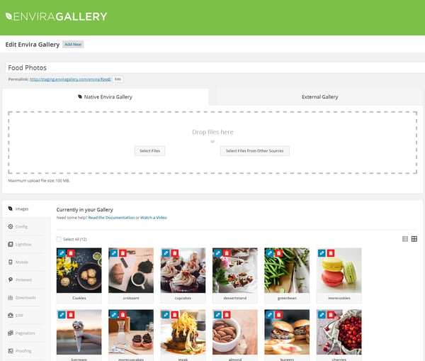 Envira Gallery best WordPress plugin