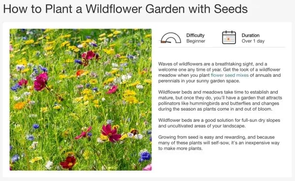 Empathy in marketing example The Home Depot offers a beginner’s guide to planting a wildflower garden on its website which showcases empathetic marketing in action.