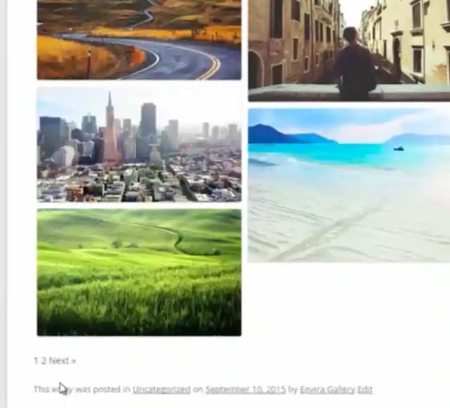Envira Gallery Wordpress Pagination Plugin