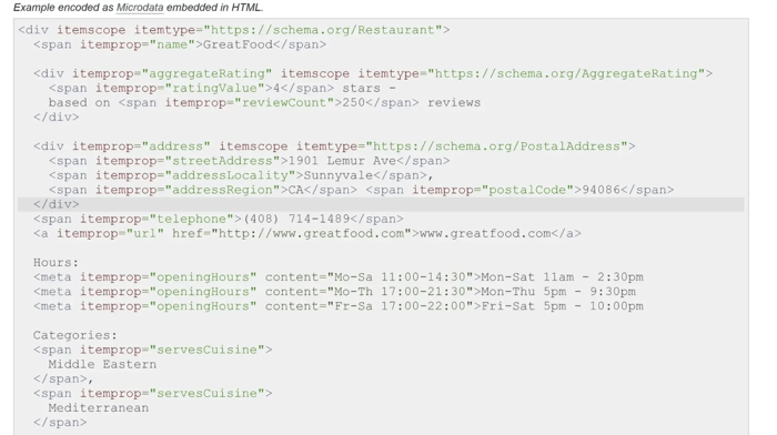 Example of standard local business schema microdata format