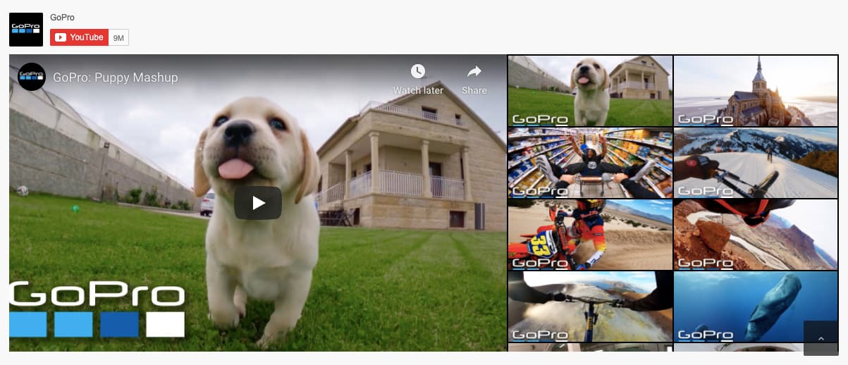 Feed Them Social Premium YouTube grid demo