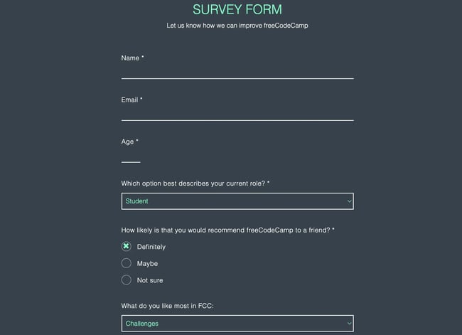 html form templates: Survey Form by Sklaerenn