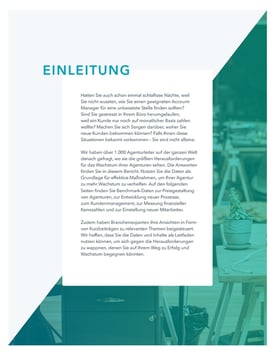 Wachstumsbericht für Marketingagenturen | HubSpot | Vorschaubild 4