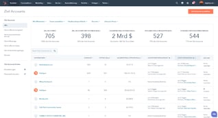zielaccounts-im-hubspot-crm