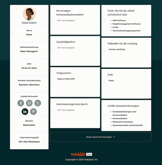 Screenshot einer Persona für AEO-Intent