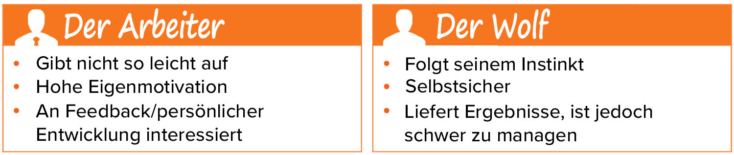 HubSpot-Challenger-Sale-Arbeiter-Wolf