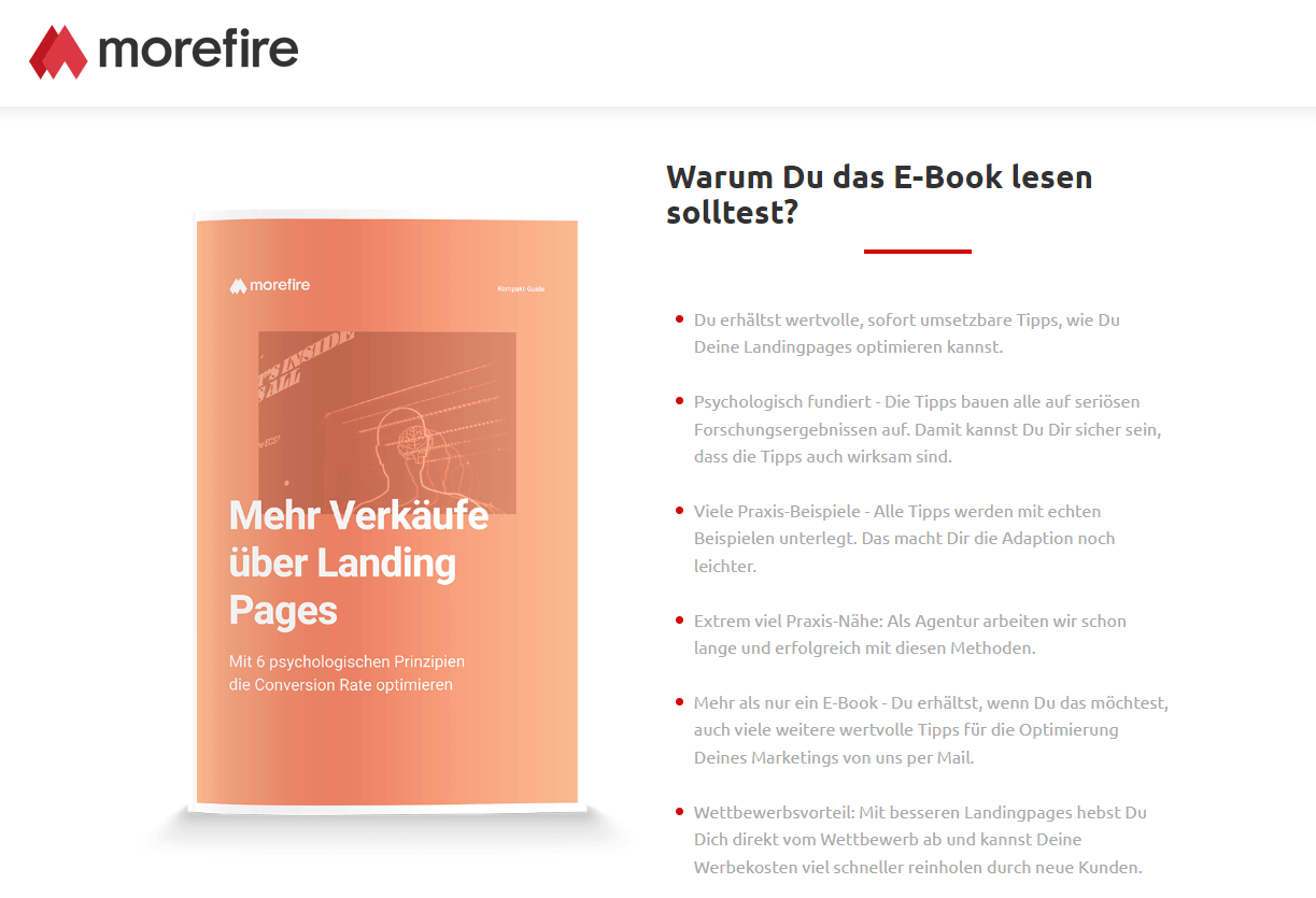 Landing-Page erstellen Beispiel morefire